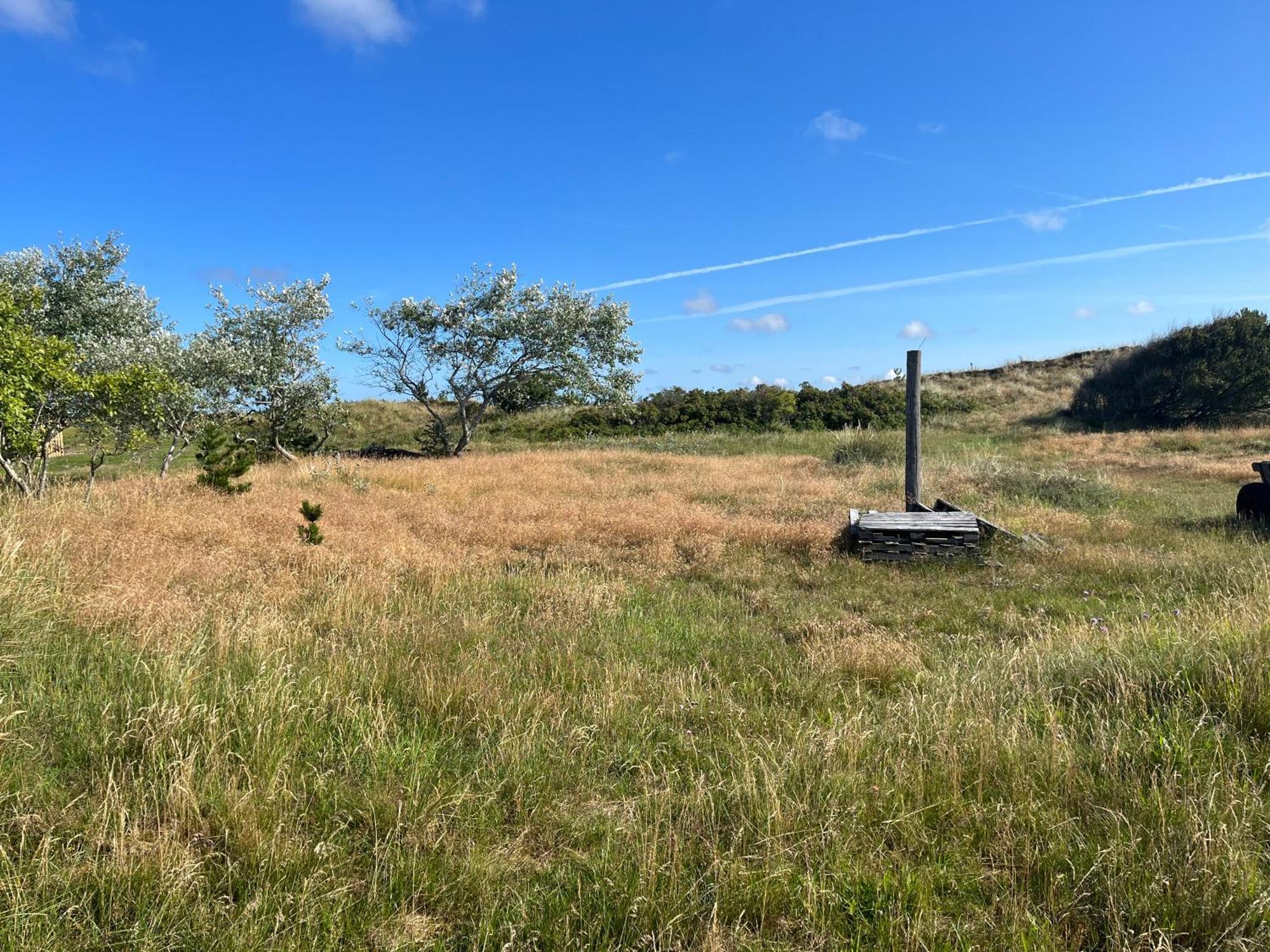 The Beach Farm - Charm, Beach And Stunning Nature Bedsted Thy Exteriör bild