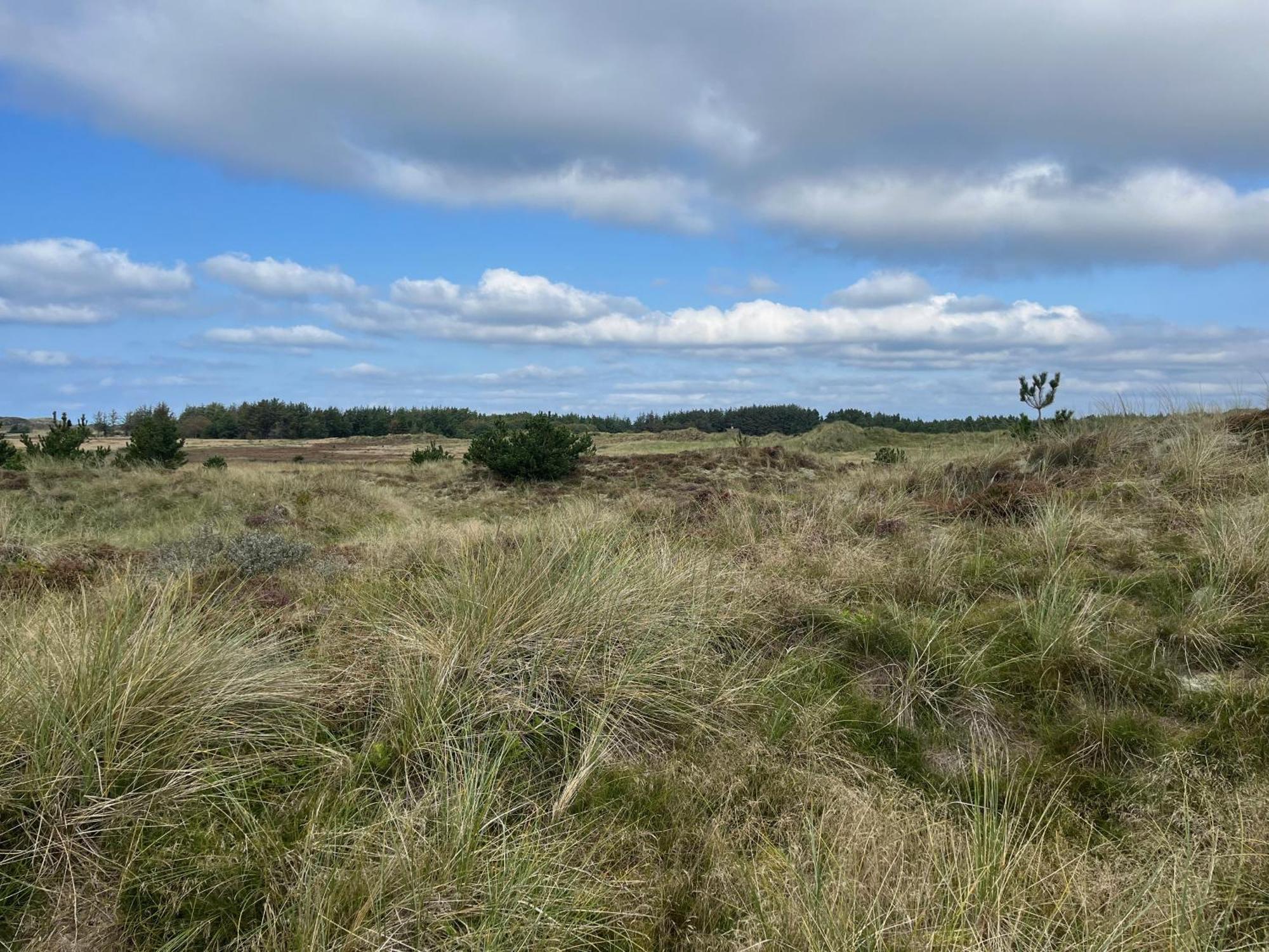 The Beach Farm - Charm, Beach And Stunning Nature Bedsted Thy Exteriör bild