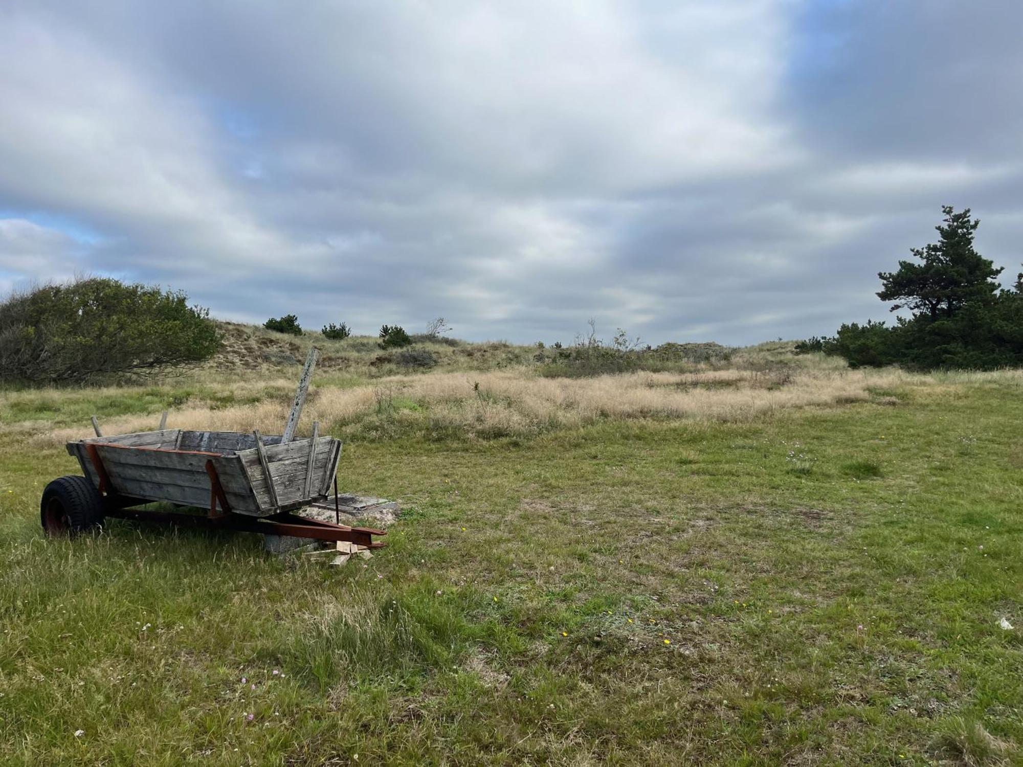 The Beach Farm - Charm, Beach And Stunning Nature Bedsted Thy Exteriör bild