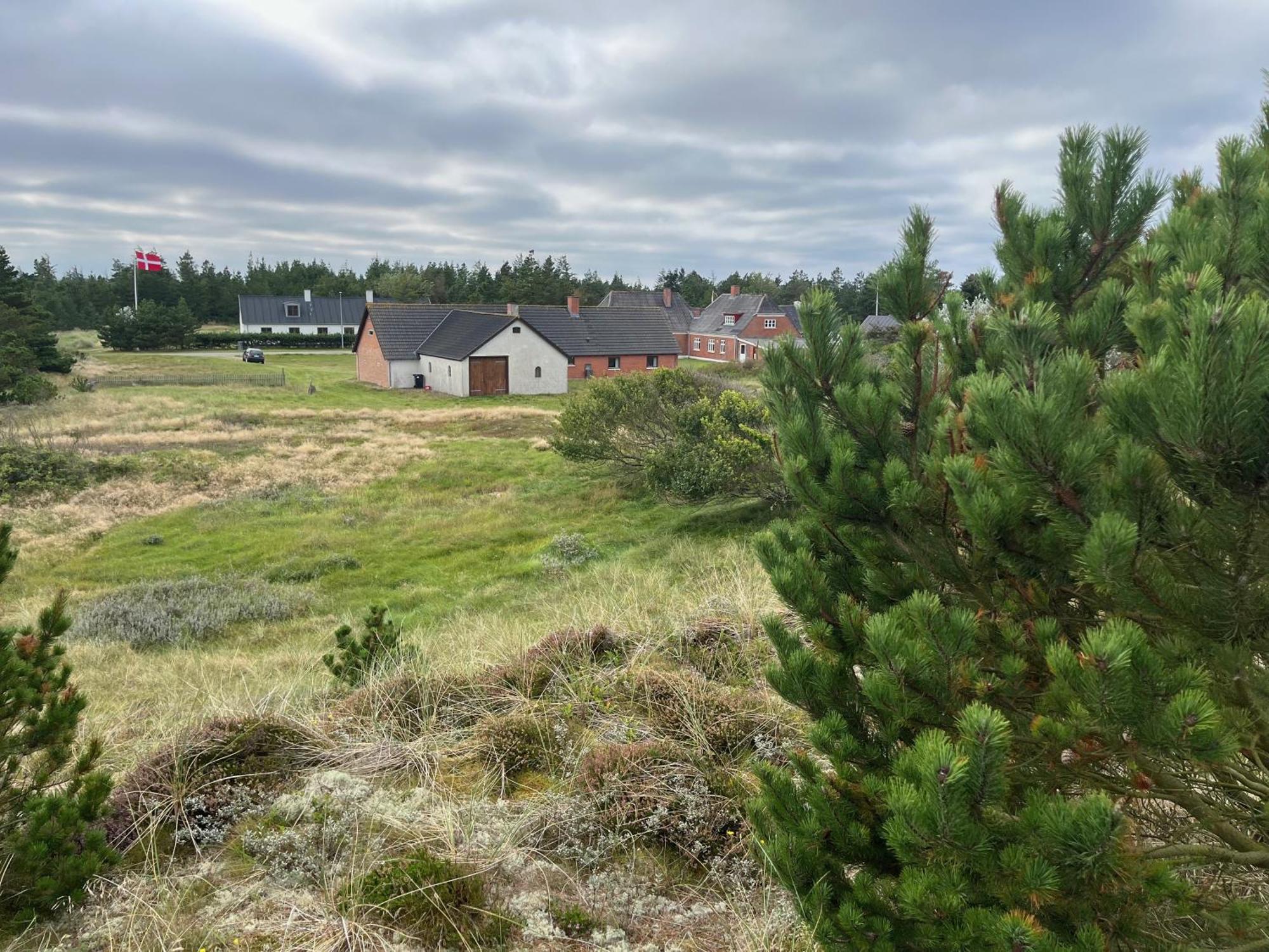 The Beach Farm - Charm, Beach And Stunning Nature Bedsted Thy Exteriör bild